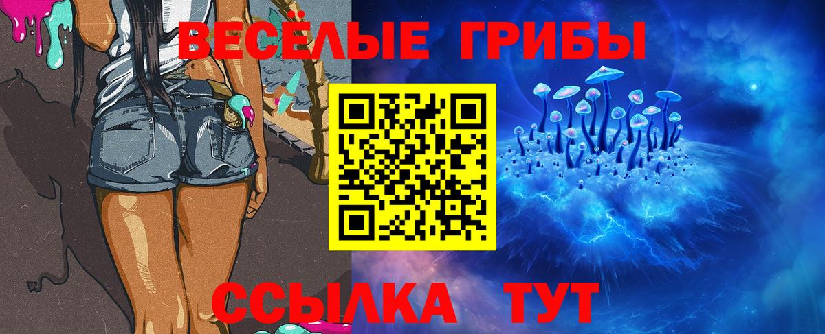 Новотроицк  Галлюциногенные грибы GOLDEN TEACHER  Вход с VPN  Псилоцибиновые грибы Psilocybe 
